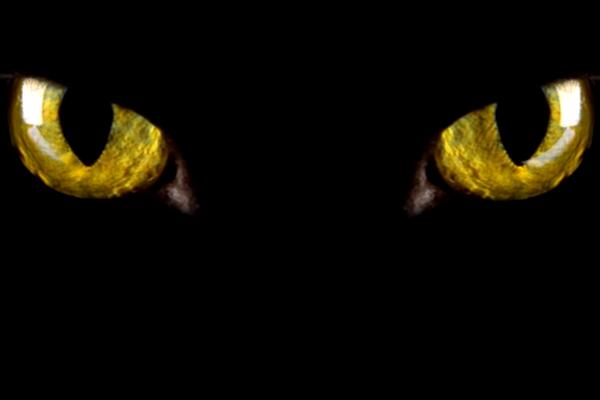 6 вещей, доказывающих правдивость страшных легенд