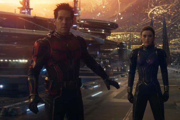 Marvel     -  : 