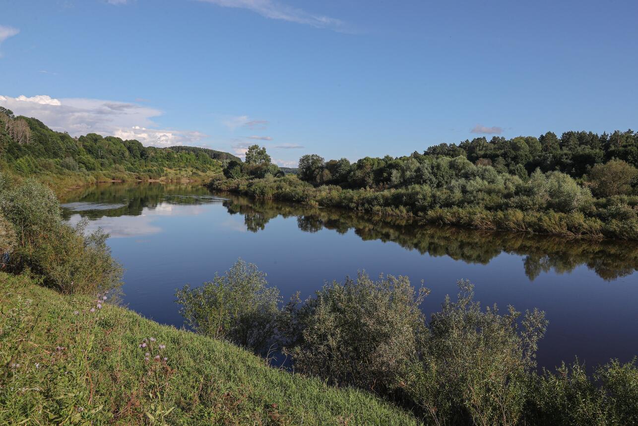 Заповедная река Угра с зелеными берегами и зеркальной гладью воды. На фоне — густые леса и открытое голубое небо.