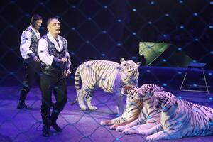 Дрессировщик Запашный бросил любовницу из-за детей: «Меня это раздражало»