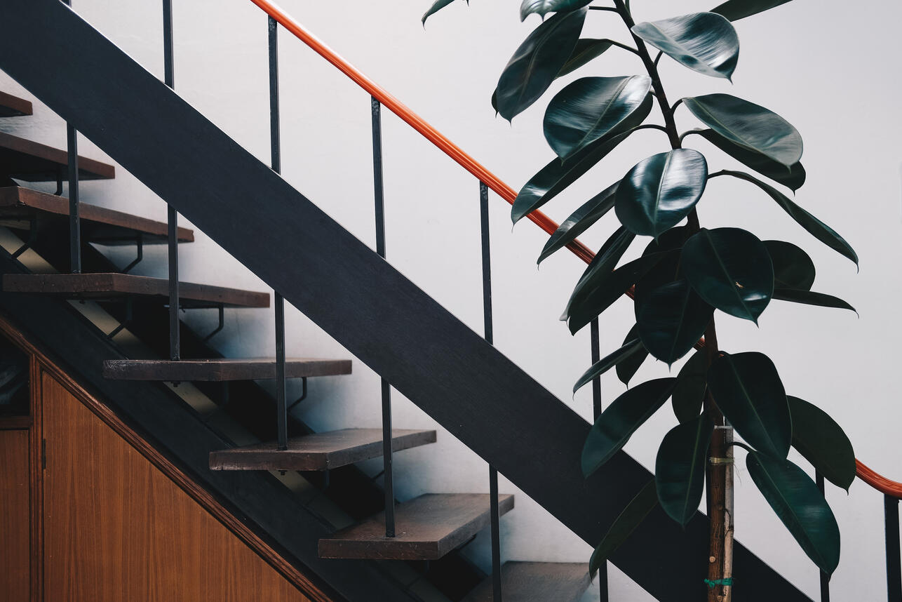 нумеролог, нумерология,  число жизненного пути, нумерология дом, как обустроить дом по нумерологии, число жизненного пути 1, число жизненного пути 2, число жизненного пути 3, число жизненного пути 4, число жизненного пути 5, число жизненного пути 6, число жизненного пути 7, число жизненного пути 8, число жизненного пути 9, как оформить интерьер по нумерологии, советы по дому по дате рождения