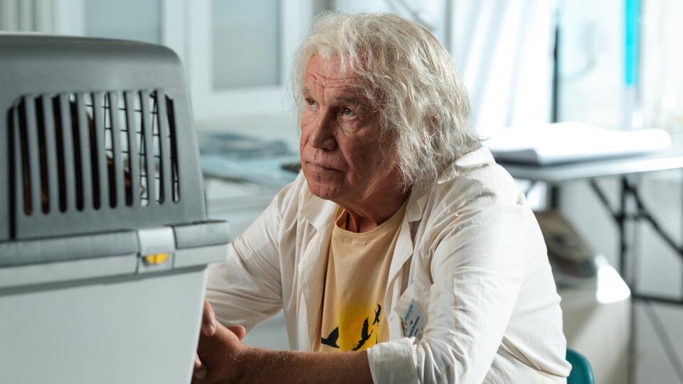 Гармаш примерил белый халат: актер сыграет загадочного «Доктора Гафа» в новой семейной комедии