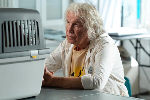 Гармаш примерил белый халат: актер сыграет загадочного «Доктора Гафа» в новой семейной комедии