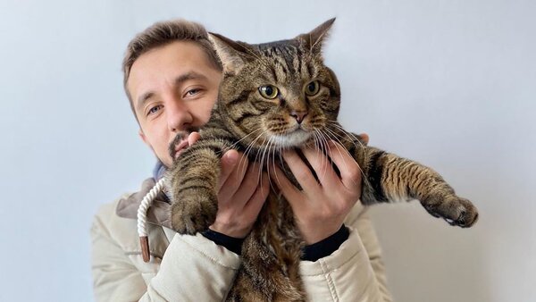История 10-килограммового кота Виктора вдохновила сценаристов