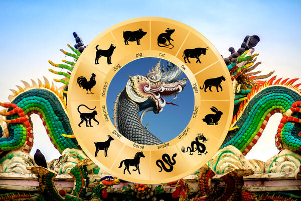 Тайский гороскоп с 10 по 20 декабря для всех знаков восточного зодиака