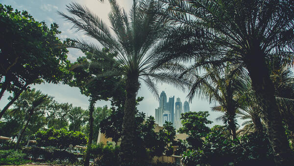 ���������&nbsp; ����������, ���� ����� �������������� � 2026 ���� �� ���� ��������