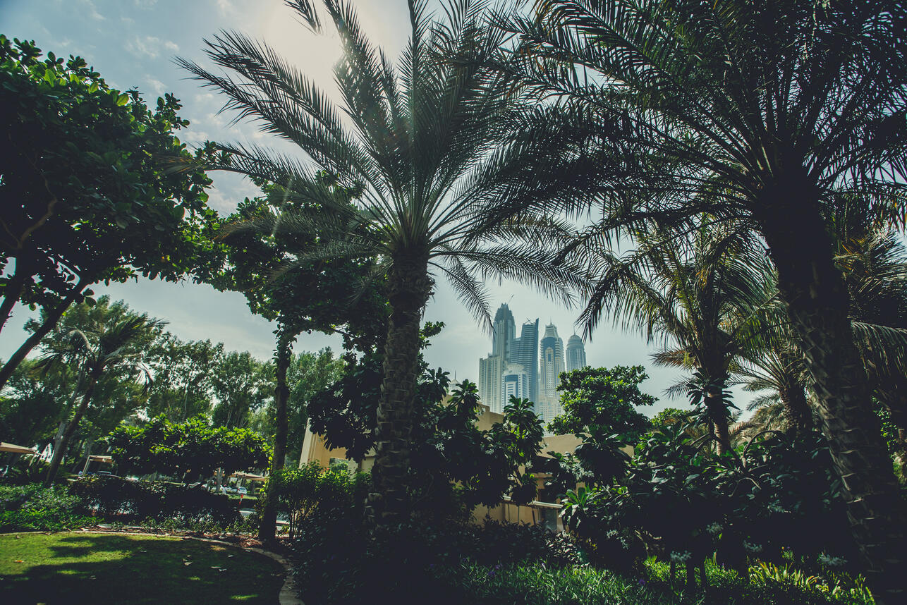 куда поехать в 2026 году, отдых по дате рождения, нумерология путешествий, идеальный отпуск по числу рождения, выбор направления отдыха, куда поехать отдыхать 2026, нумерология и отдых, путешествия по знакам зодиака, матрица судьбы путешествия