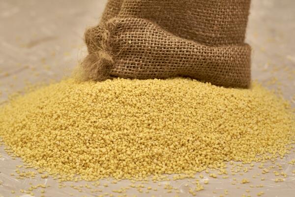 Для «неженок», которым не нравится запах: чем удобрить огород вместо навоза 