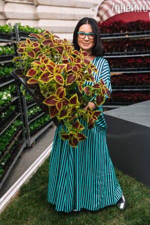 Екатерина Стриженова