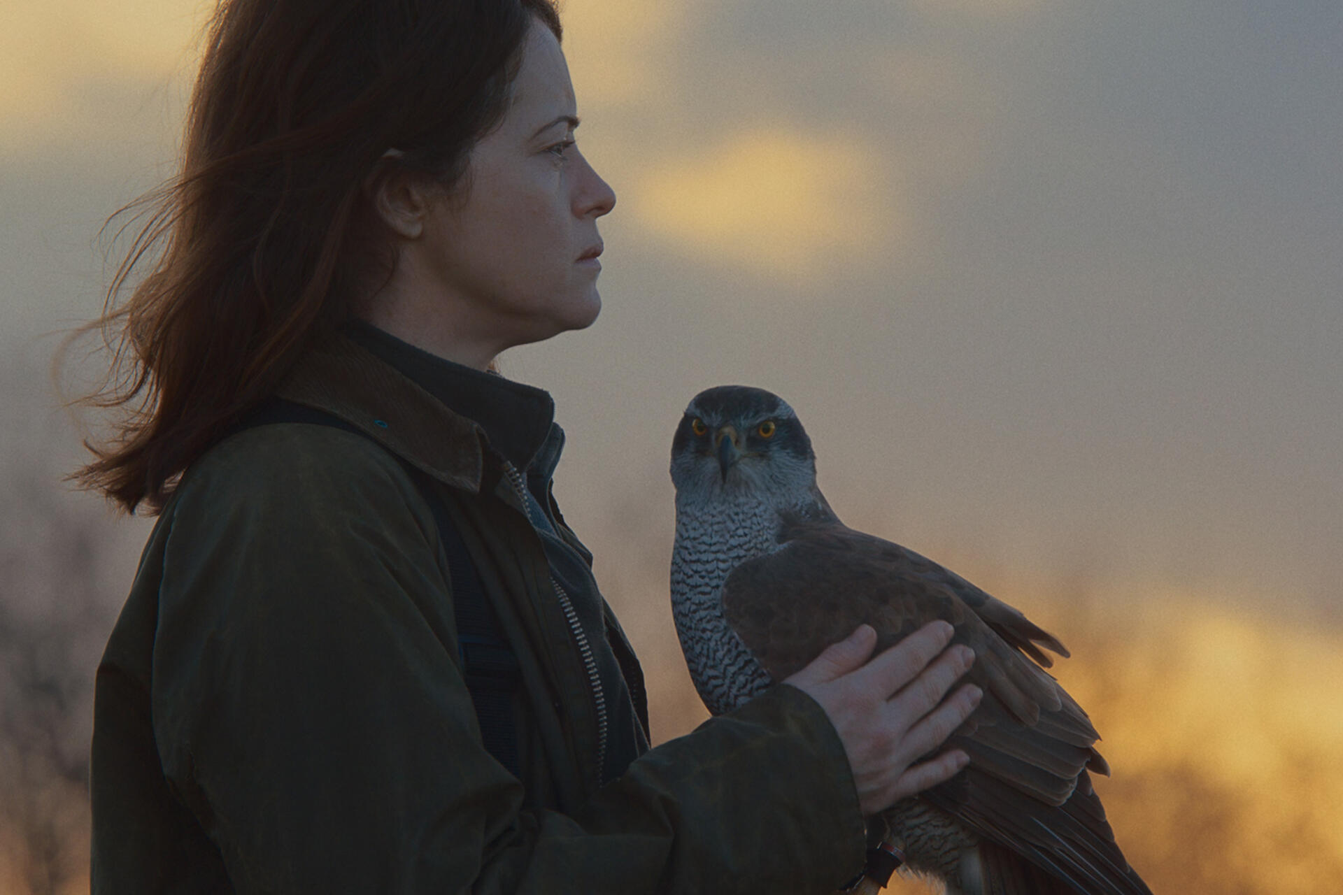 «Я — значит Ястреб» фото