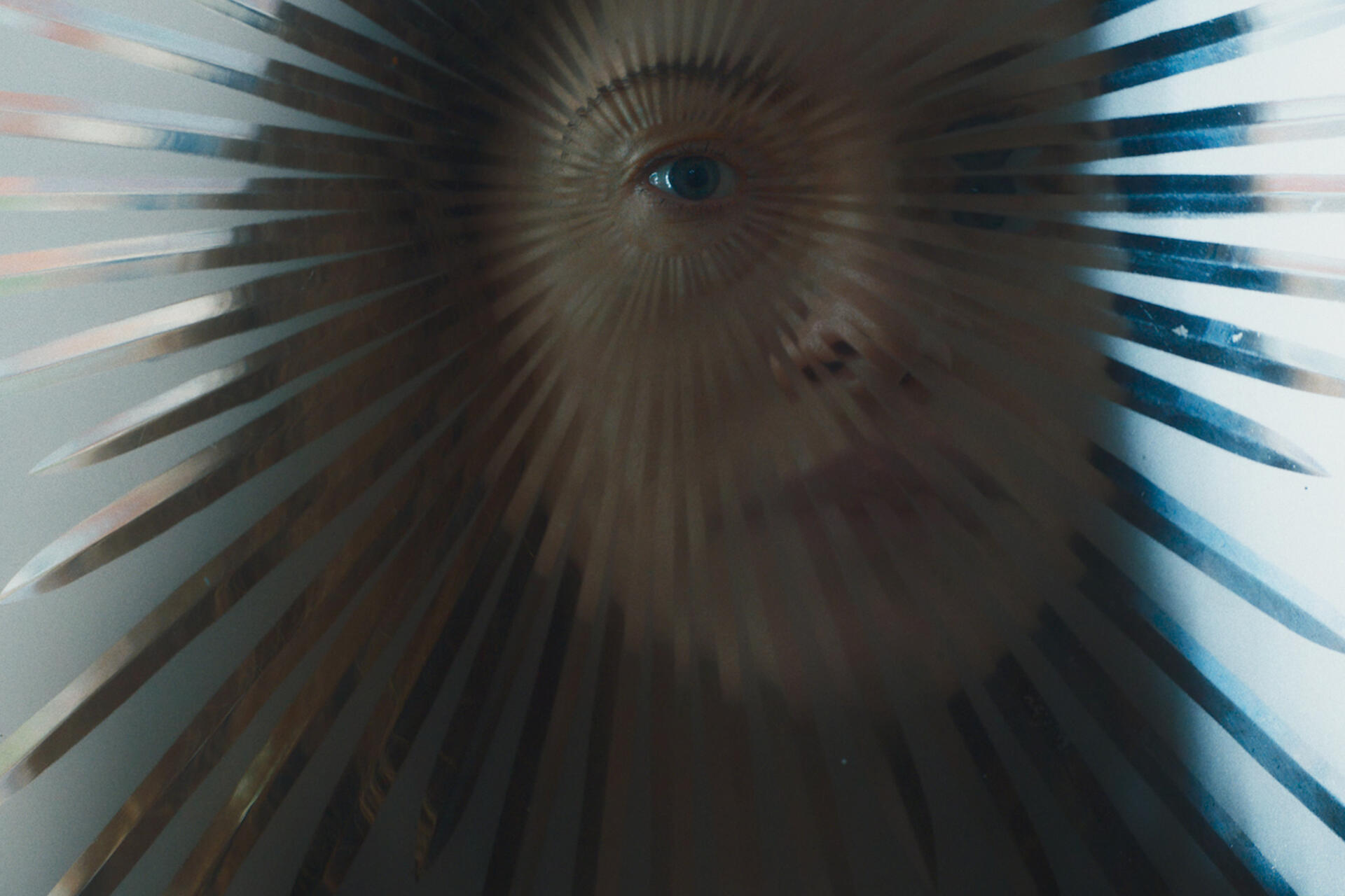 «Я — значит Ястреб» фото