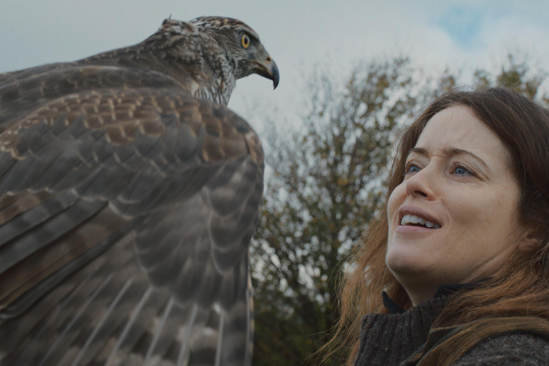 «Я — значит Ястреб» фото