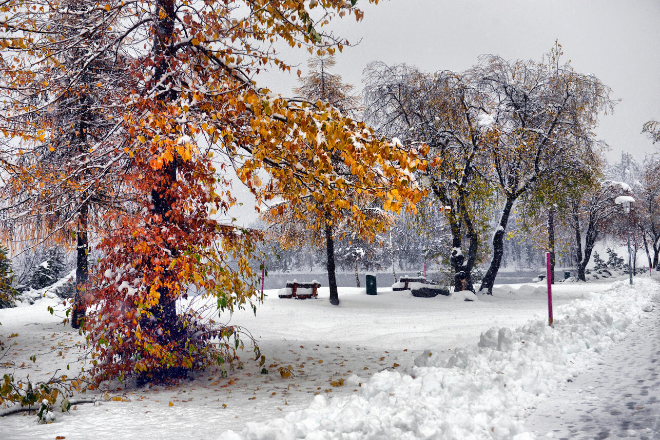 86 Синоптик Ильин назвал точную дату наступления климатической зимы — снег ляжет плотным покровом