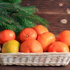 Аллергия на мандарины: чем заменить фрукт, чтобы почувствовать праздник