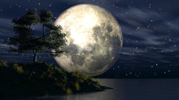 ������&nbsp; ���� ����� �� �������: 4 �����, ������� ������ �� � ������� �����