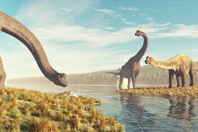 Почему динозавры были такими большими?