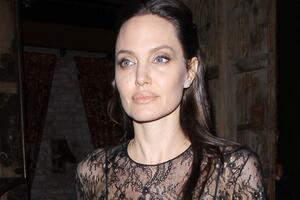 Анджелина Джоли выбрала себе спутника для воскресного ужина