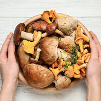 Грибная аптечка: боровики для сердечников, рыжики — для четкого зрения