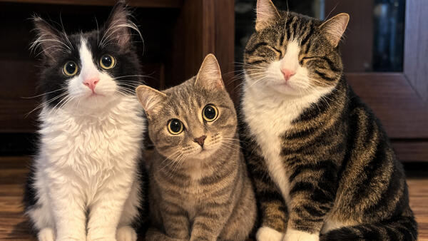 ���������&nbsp; �����, �������� ���� � ������ ������: ��� ������� � ���, ��� ���� �� ������� ������ ���