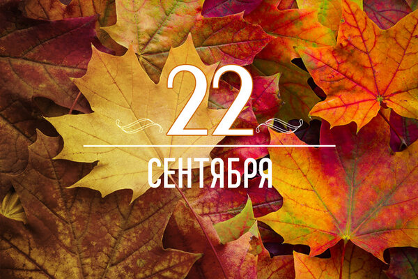       22  