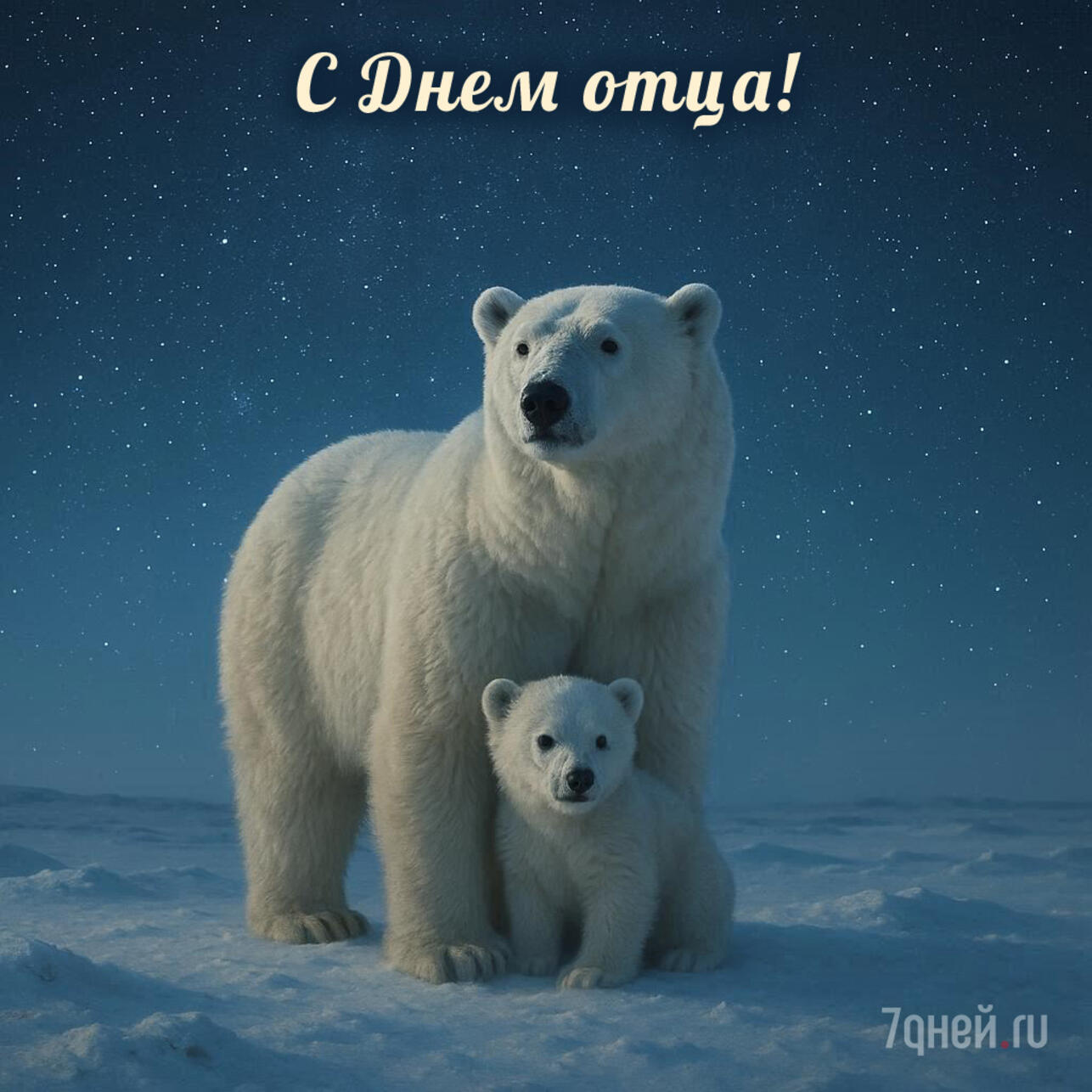 день отца 2025, открытки ко дню отца, поздравления с днём отца, красивые поздравления папе, трогательные слова папе, короткие поздравления отцу, открытки для папы, день отца картинки, поздравления для дедушки, день отца в россии, поздравить папу, открытка с поздравлением папе, день отца надписи, душевные слова отцу, поздравления мужчине с днём отца