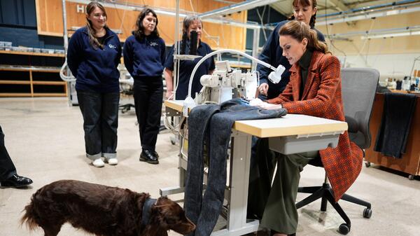 ����&nbsp; �������� �������� � ���������� � �� �����