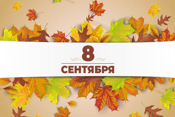       8 