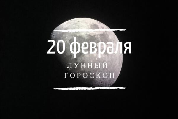    20 , 