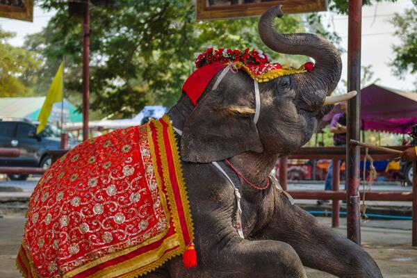 13 марта: какой сегодня праздник?