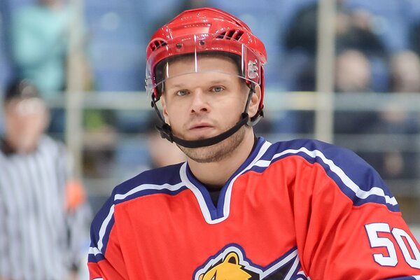 Владимир Яглыч увлекся профессиональным хоккеем