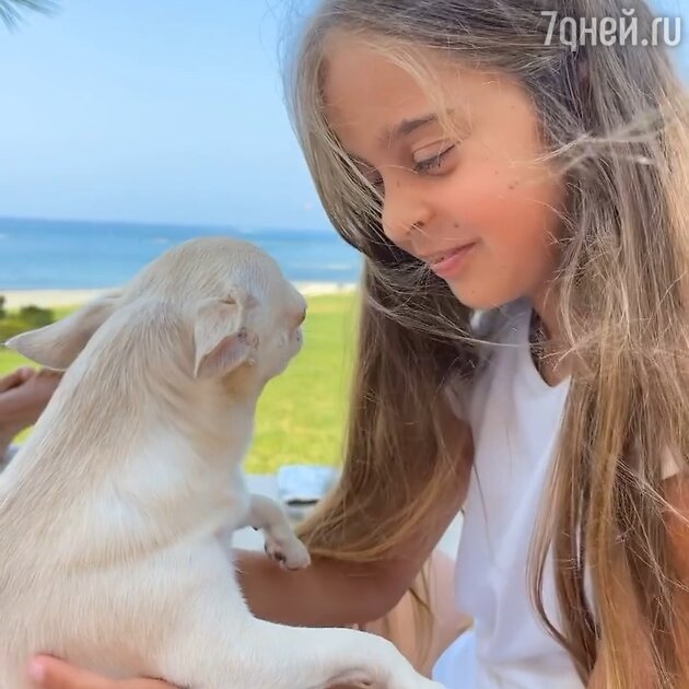 @angelikarevva/Instagram