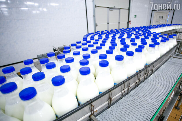 Цельное или нормализованное молоко что
