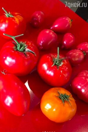 Урожай Елены Ваенги