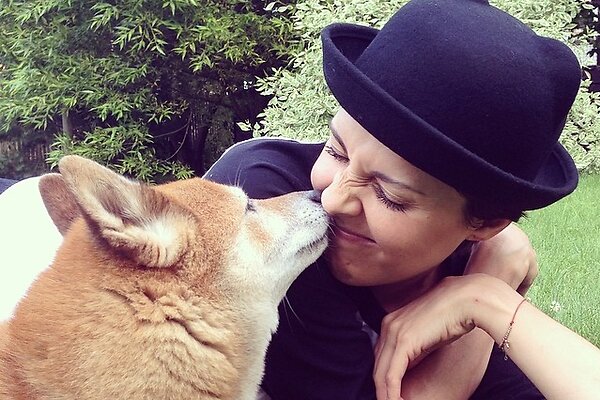 Пес Ольги Шелест и еще несколько ленивых, но находчивых питомцев