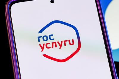 Как проверить наличие долгов с помощью «Госуслуг» — узнаете и о своих, и о чужих