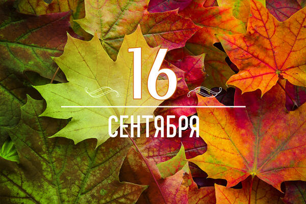       16  