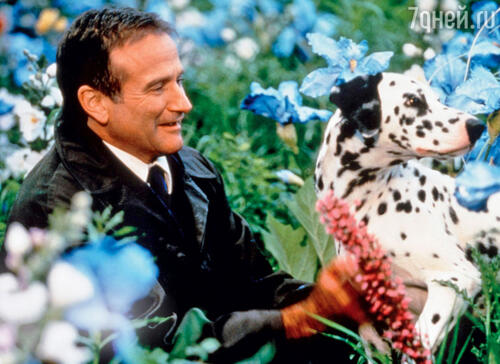 В фильме «Куда приводят мечты». 1998 г.
