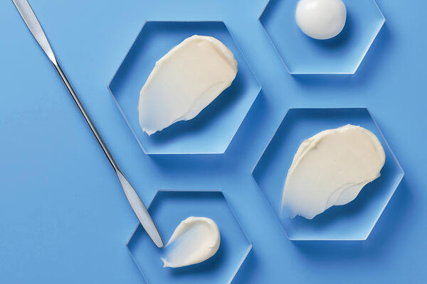  «Красота — это интеллект, доведенный до совершенства» 