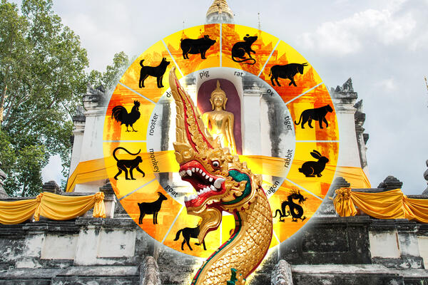      14  20      