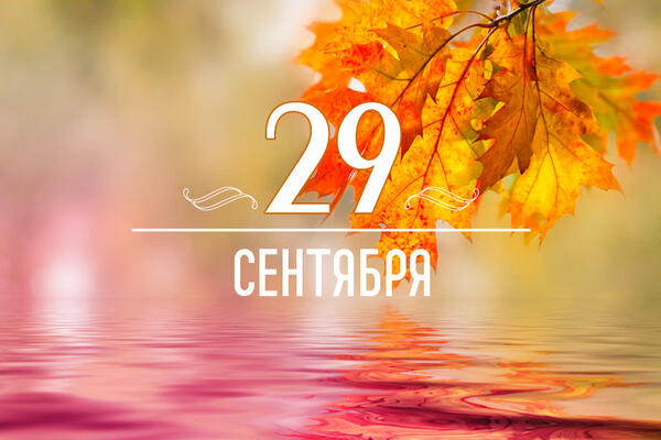       29  