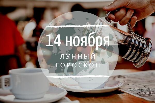    14 , 