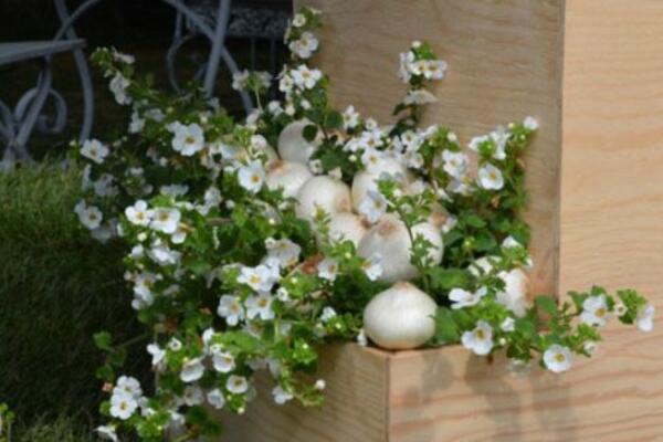 Кто пойдет на Moscow Flower Show?