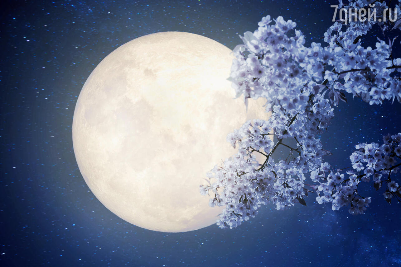 Восходящая луна в марте. Луна. Полнолуние. Красивая Луна. Полная Луна.