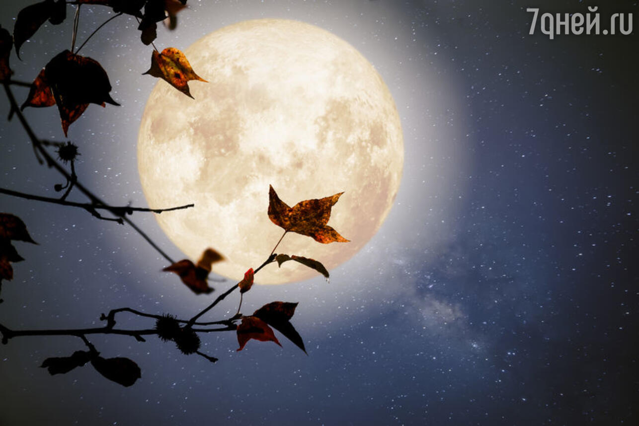 Лунный календарь 29 октября