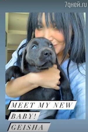 Дарина Эрвин с собакой