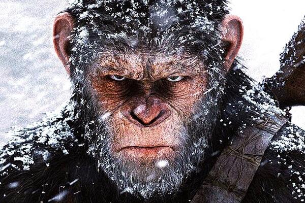 Выиграй сувенир по мотивам фильма «Планета обезьян: Война»