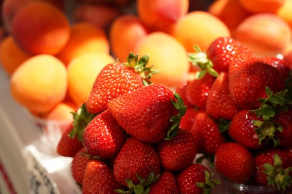 Фармаколог предупредил, какие фрукты и ягоды не нужно покупать ранней весной