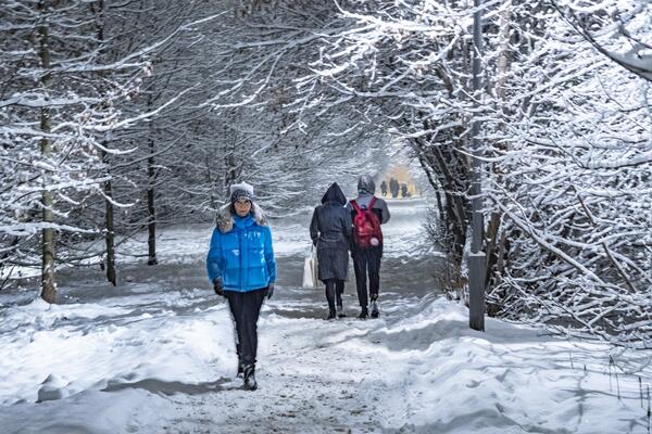Завалит снегом по самые уши: метеоролог предупредил о смене погоды