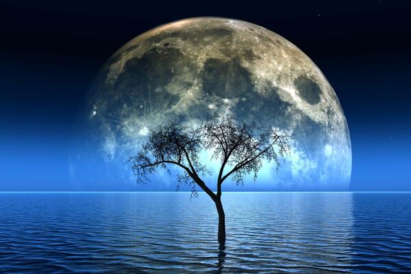 Коварная Бобровая Луна: в суперлуние 16 ноября можно потерять последние деньги