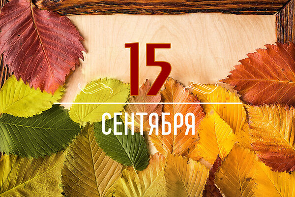       15 